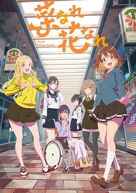 贵阳白云seo整站优化